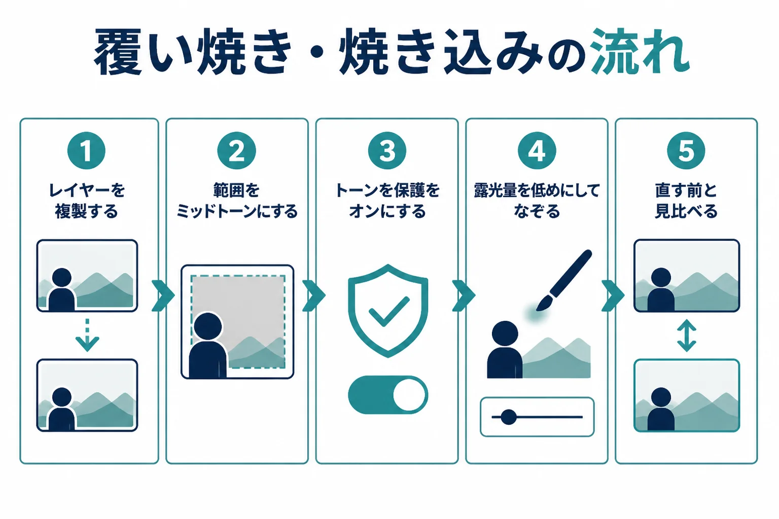 Photoshopで覆い焼き・焼き込みをする流れを、レイヤーの複製、範囲とトーンを保護の設定、露光量を低めにしてなぞる、前後の比較までの順番で示した図解
