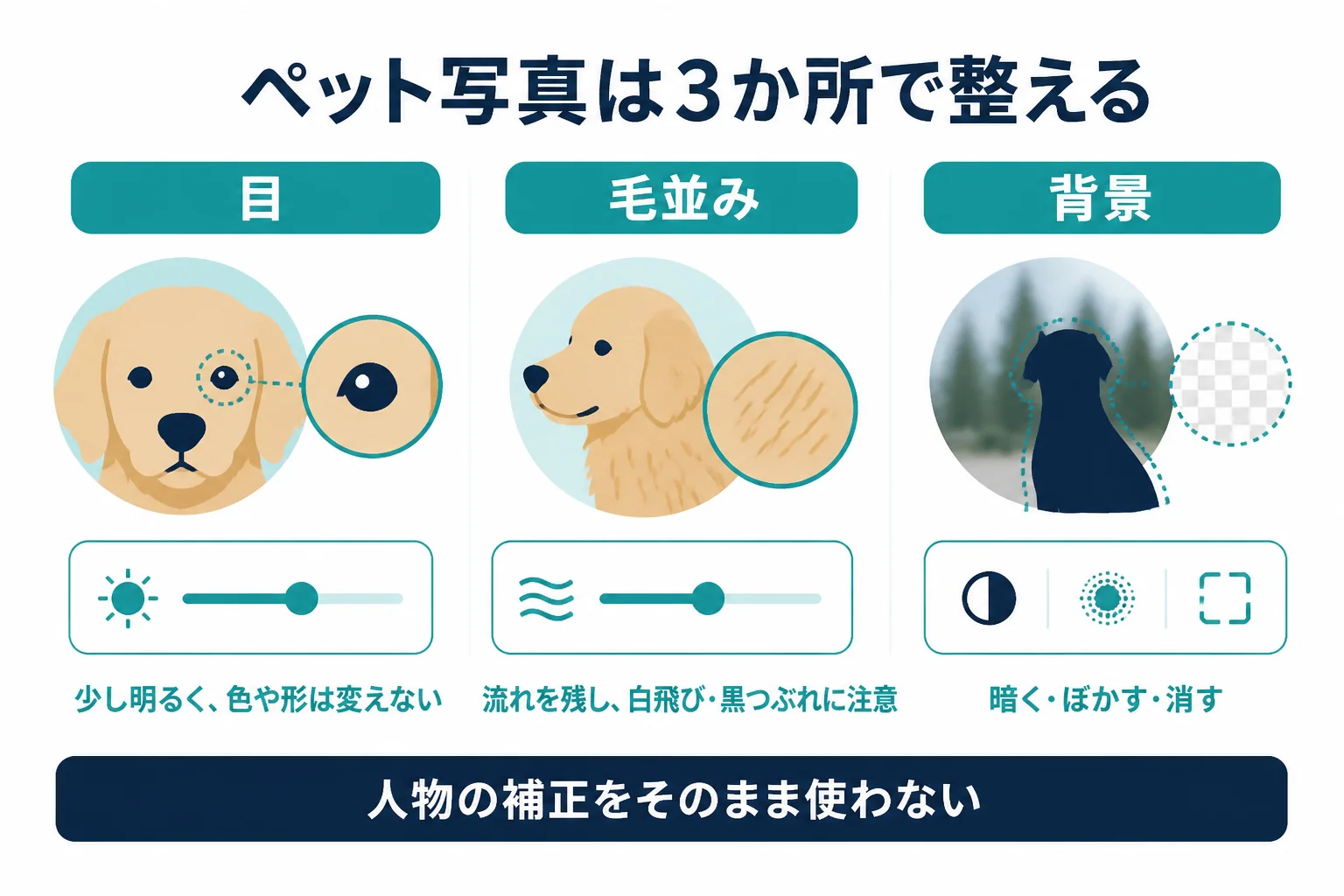 ペット写真のレタッチを目・毛並み・背景の3か所に分けて、それぞれ整えるポイントを示した図解