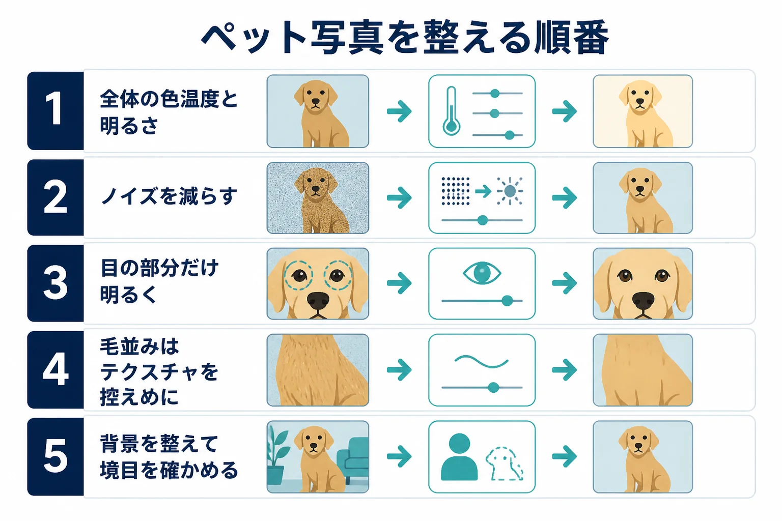 ペット写真を全体の色と明るさ、目、毛並み、背景の順に整える流れを示した図解